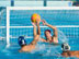 Cas Pratique : Besoins nutritionnels d'un joueur de water-polo professionnel